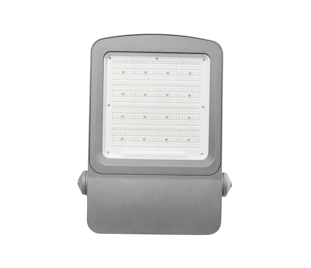 LED Flood Light